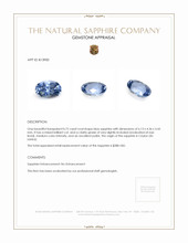 0.72 Ct. Sapphire from Ceylon (Sri Lanka) Appraisal