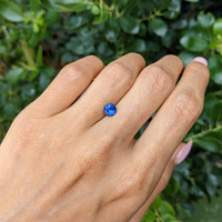 0.96 Ct. Blue Sapphire from Ceylon (Sri Lanka) Life Style