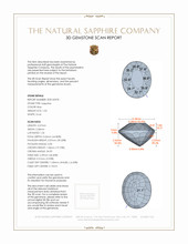1.03 Ct. Blue Sapphire and Natural Diamond Pave Ring, 14K White Gold 3 D Scan Report