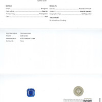 Jewelry Scan Report