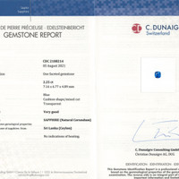 Jewelry Scan Report
