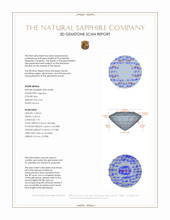 Jewelry 3 D Scan Report