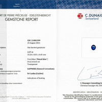 Jewelry Scan Report