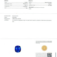 5.45 Ct. Blue Sapphire from Ceylon (Sri Lanka) Scan Report