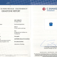 8.03 Ct. Blue Sapphire from Ceylon (Sri Lanka) Scan Report