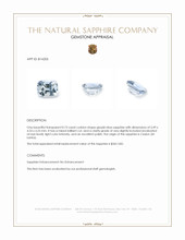 Jewelry Appraisal