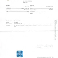 Jewelry Scan Report