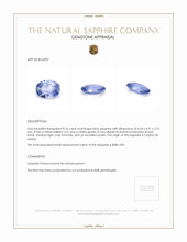 Jewelry Appraisal
