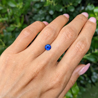 0.92 Ct. Blue Sapphire from Ceylon (Sri Lanka) Life Style