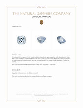 0.67 Ct. Bluish Grey Sapphire from Ceylon (Sri Lanka) Appraisal