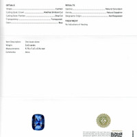 Jewelry Scan Report