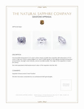 Jewelry Appraisal