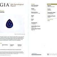 Jewelry Scan Report