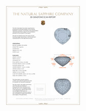 Jewelry 3 D Scan Report