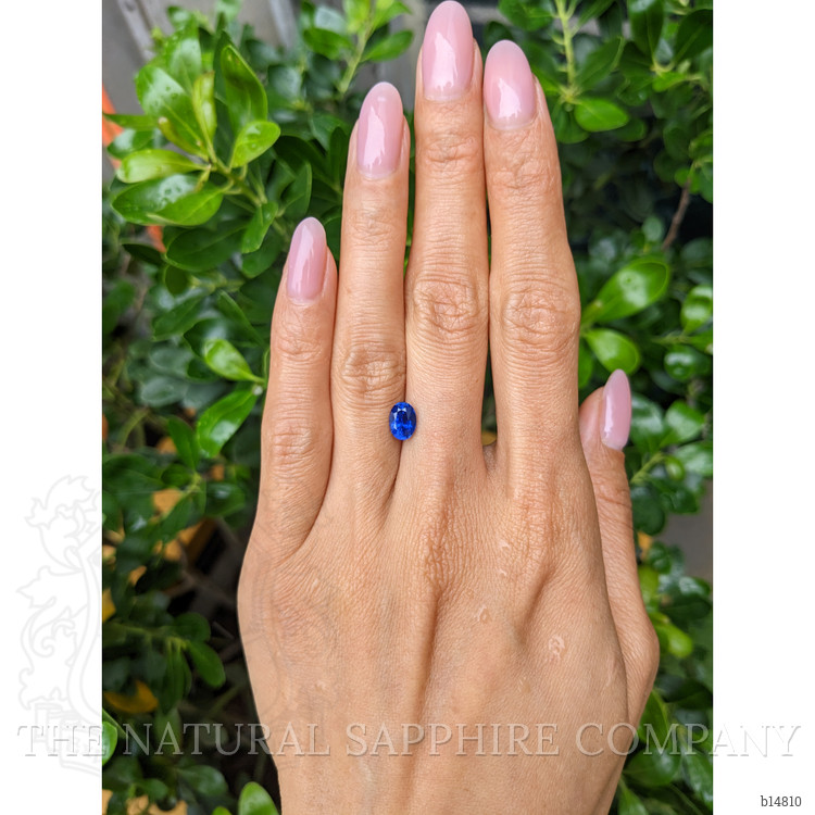 1.34 Ct. Blue Sapphire from Ceylon (Sri Lanka)