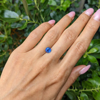 1.66 Ct. Blue Sapphire from Ceylon (Sri Lanka) Life Style