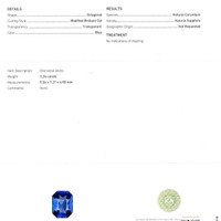 Jewelry Scan Report