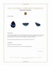 0.99 Ct. Blue Sapphire from Thailand Appraisal