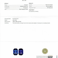 Jewelry Scan Report