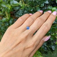 1.09 Ct. Blue Sapphire from Ceylon (Sri Lanka) Life Style