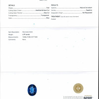 Jewelry Scan Report