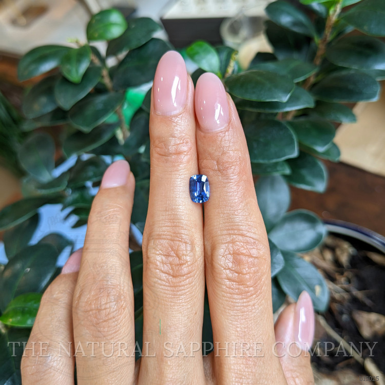 1.17 Ct. Blue Sapphire from Ceylon (Sri Lanka)