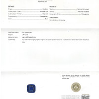 Jewelry Scan Report