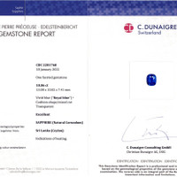 10.06 Ct. Blue Sapphire from Ceylon (Sri Lanka) Scan Report