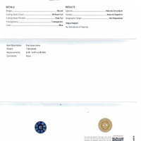 Jewelry Scan Report