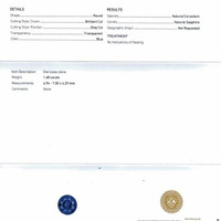 Jewelry Scan Report