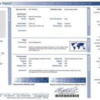 Jewelry Scan Report