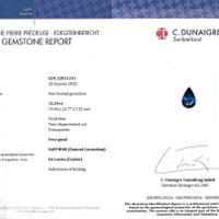 13.54 Ct. Sapphire from Ceylon (Sri Lanka) Scan Report