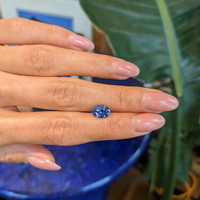 2.20 Ct. Blue Sapphire from Ceylon (Sri Lanka) Life Style