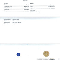 Jewelry Scan Report
