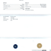 Jewelry Scan Report