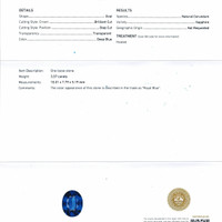 Jewelry Scan Report