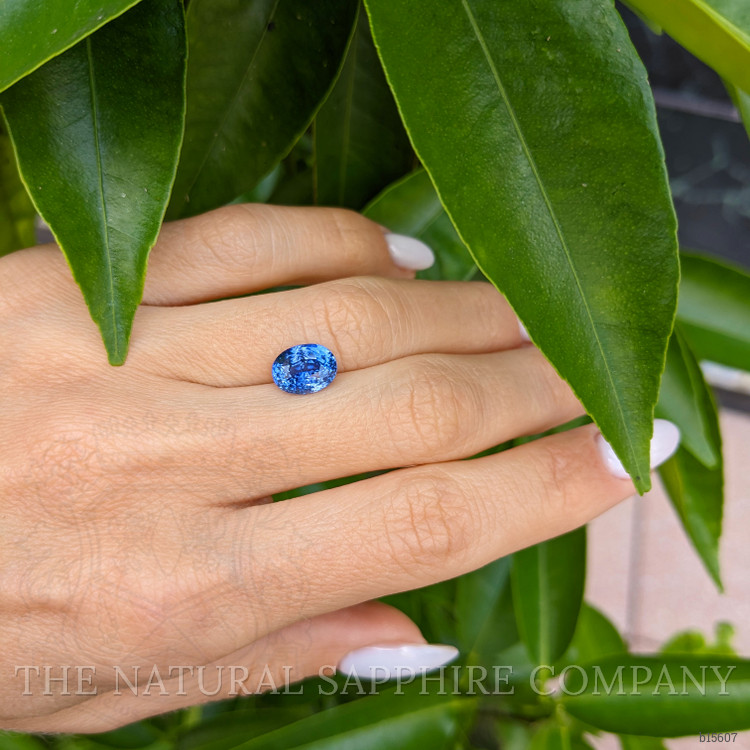 3.12 Ct. Blue Sapphire from Ceylon (Sri Lanka)