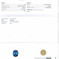 Jewelry Scan Report