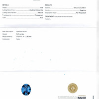 Jewelry Scan Report