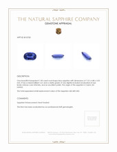 1.00 Ct. Blue Sapphire from Ceylon (Sri Lanka) Appraisal