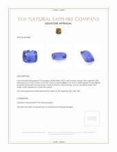 8.02 Ct. Blue Sapphire from Ceylon (Sri Lanka) Appraisal