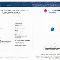 8.02 Ct. Blue Sapphire from Ceylon (Sri Lanka) Scan Report