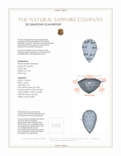 Jewelry 3 D Scan Report