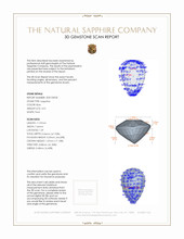 Jewelry 3 D Scan Report