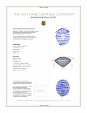 Jewelry 3 D Scan Report