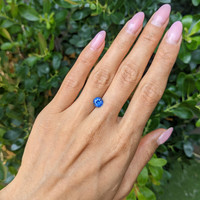 1.62 Ct. Blue Sapphire from Ceylon (Sri Lanka) Life Style