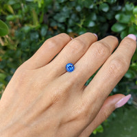 1.62 Ct. Blue Sapphire from Ceylon (Sri Lanka) Life Style