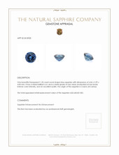 1.20 Ct. Blue Sapphire from Ceylon (Sri Lanka) Appraisal