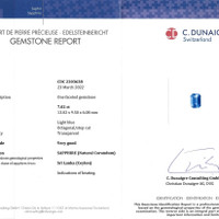 Jewelry Scan Report