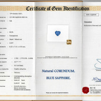 Jewelry Scan Report